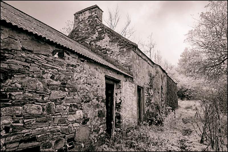 Famine Village Duniewy No 1.tif